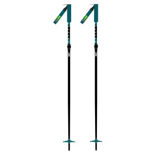 Line Paintbrush 100-130 cm black/green 23/24