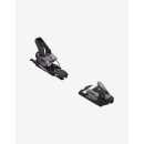 Salomon Strive 12 GW