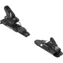 Salomon Strive 11 GW Demo black