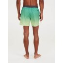Protest Erin Beachshort frosty green