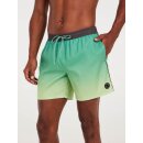 Protest Erin Beachshort frosty green