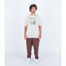 Hurley Everyday Rolling Hills S/S bone