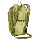 Deuter Speed Lite 21 linden-cactus