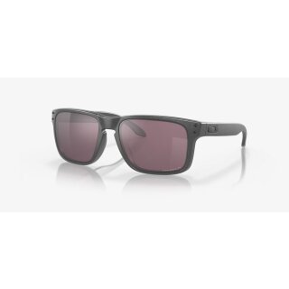 Oakley Holbrook Steel prizm daily polarized