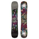 Never Summer Llama 2026