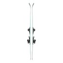 Blizzard Phoenix R 13 Ca WB - TPC 11 Demo W green