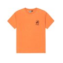 Picture Picturide Tee mango washed