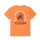 Picture Picturide Tee mango washed