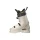 Salomon S/Pro Alpha C BOA 105 W birch/black/gold