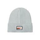 Protest Worsley Beanie moonstonegrey
