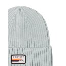 Protest Worsley Beanie moonstonegrey
