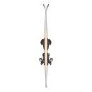 Blizzard Thunderbird R 13 LTD - Comp 12 Demo