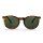 Chpo Torö Turtle Brown green