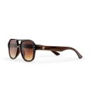 Chpo Cocas Coffee brown gradient