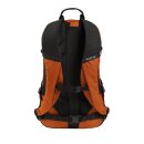 Burton Day Hiker 22L Backpack spiced chai