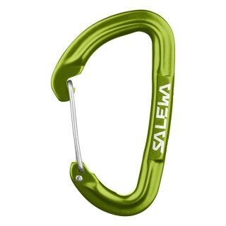 Salewa Karabiner HOT G3 Wire grün
