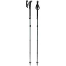 Leki Makalu FX Carbon carbon/green