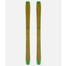 black crows Pilus Camox Freebird Skins 166 cm